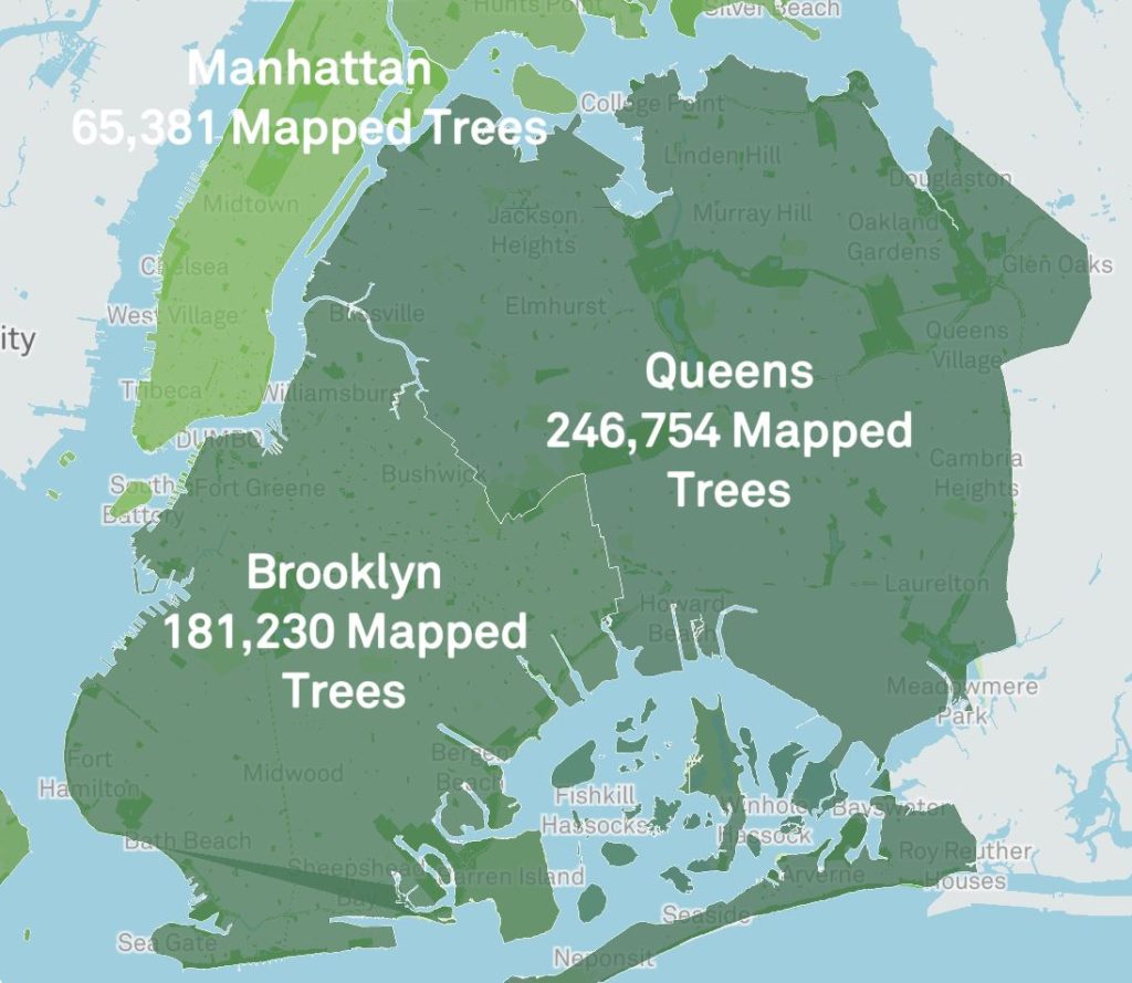 New York City Street Tree Map