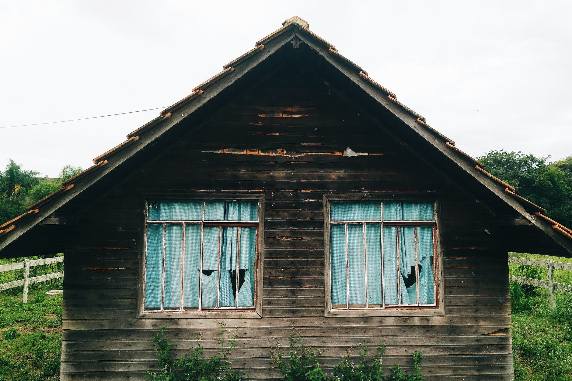 old wooden rural abandoned country cottage surrounded by bushes