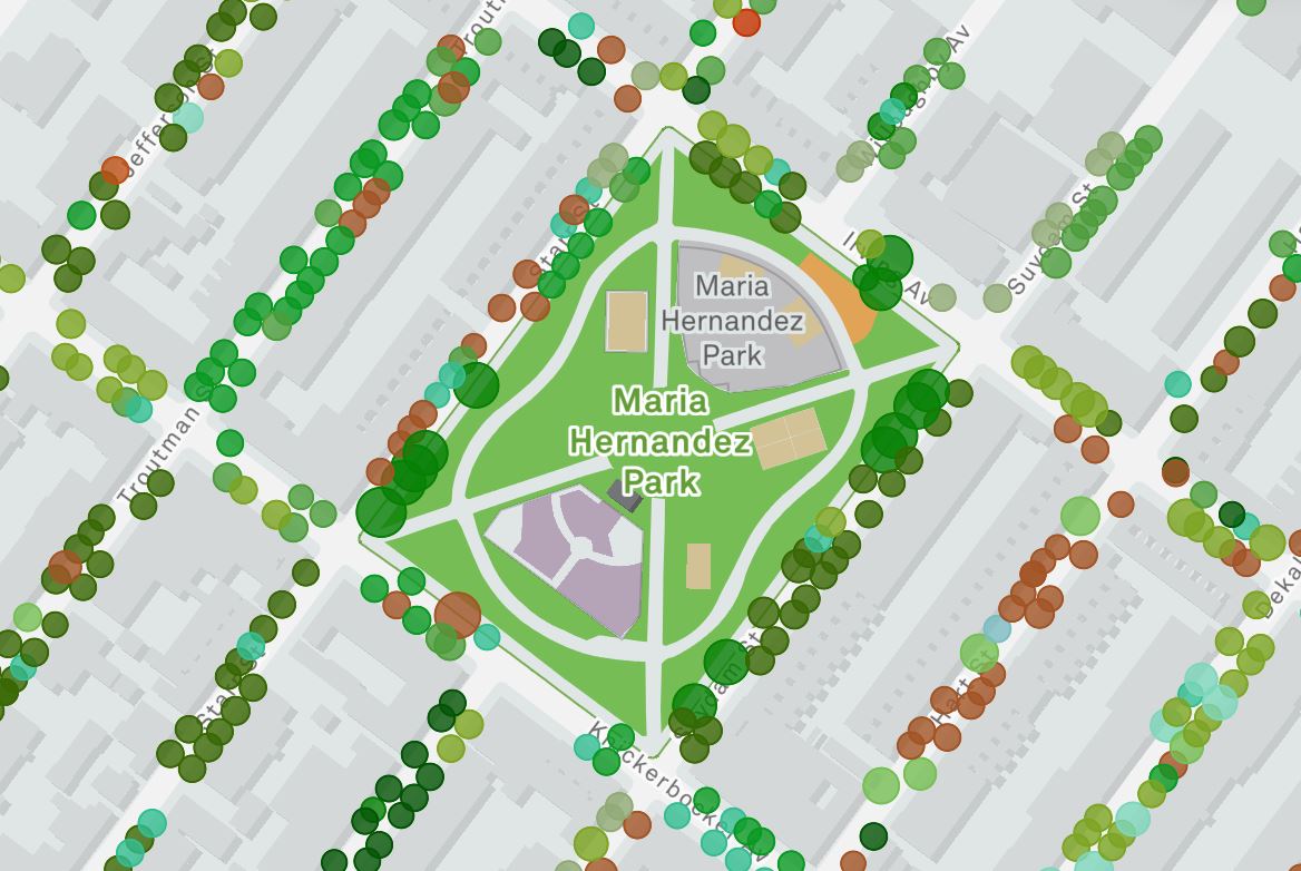 nyc tree map