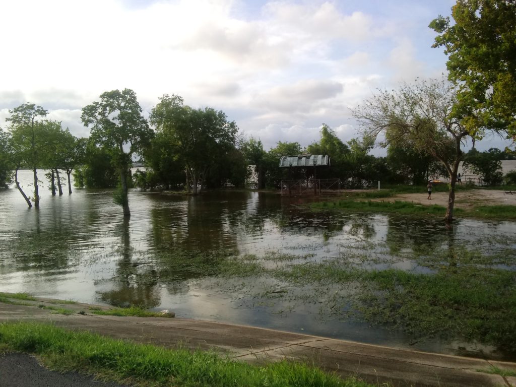 flooding along the Mississippi river levee