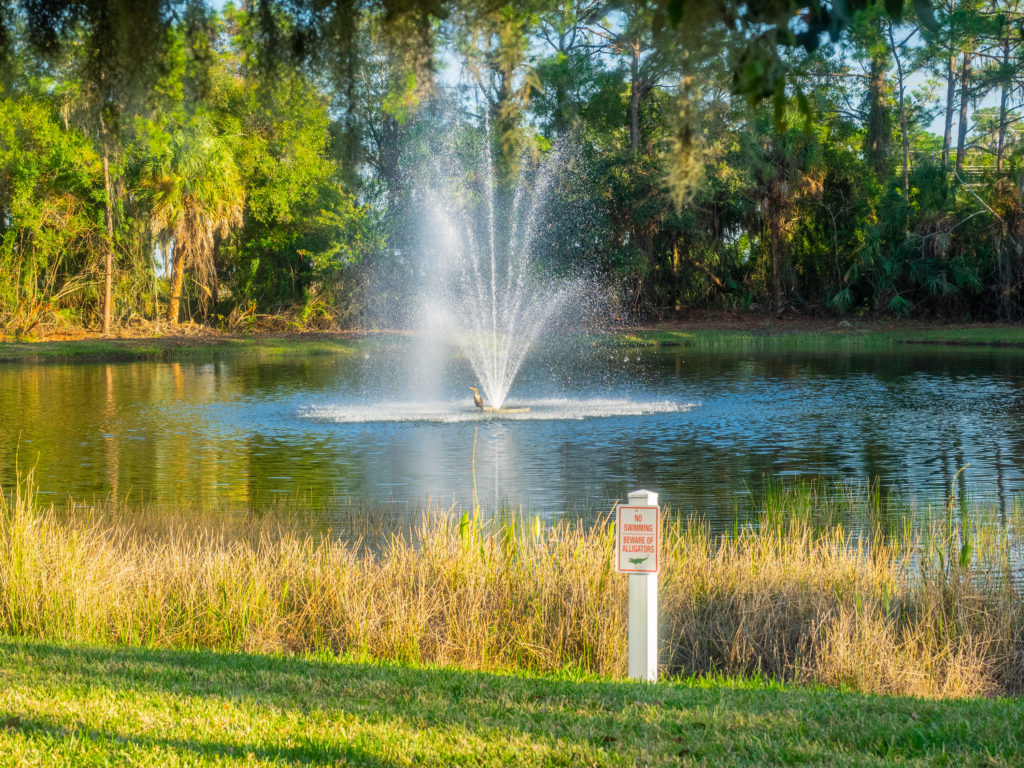 Retention Pond