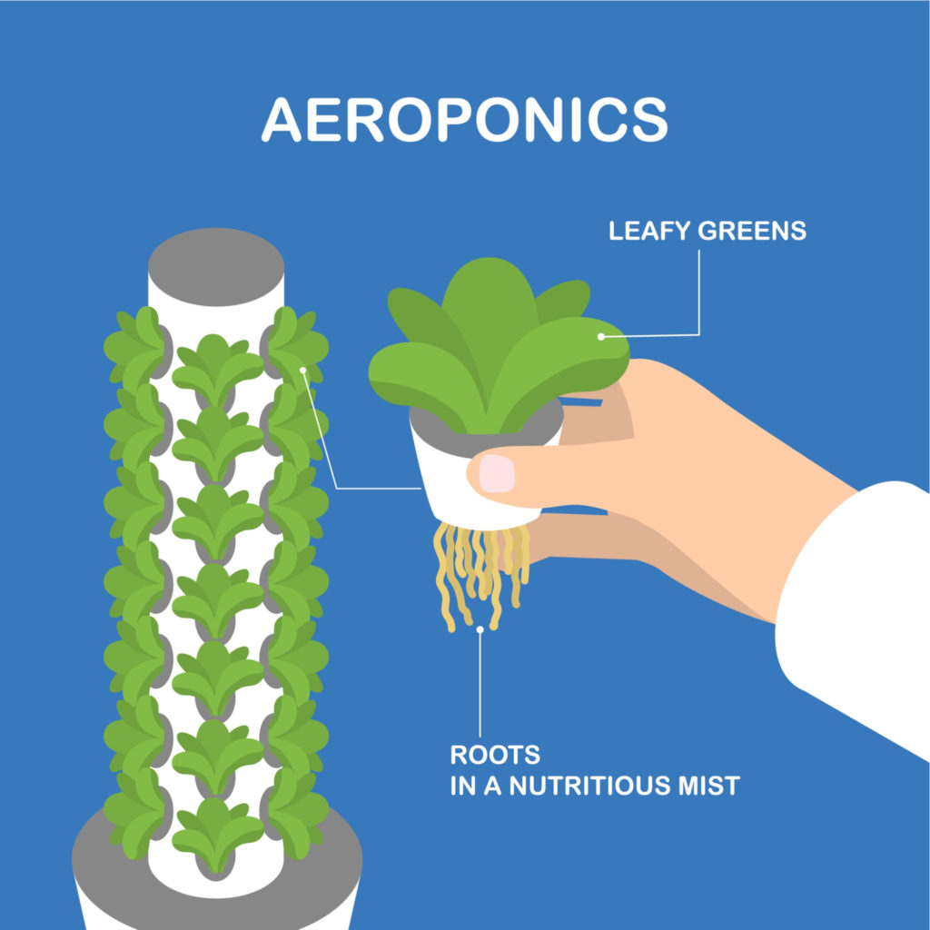 aeroponics diagram