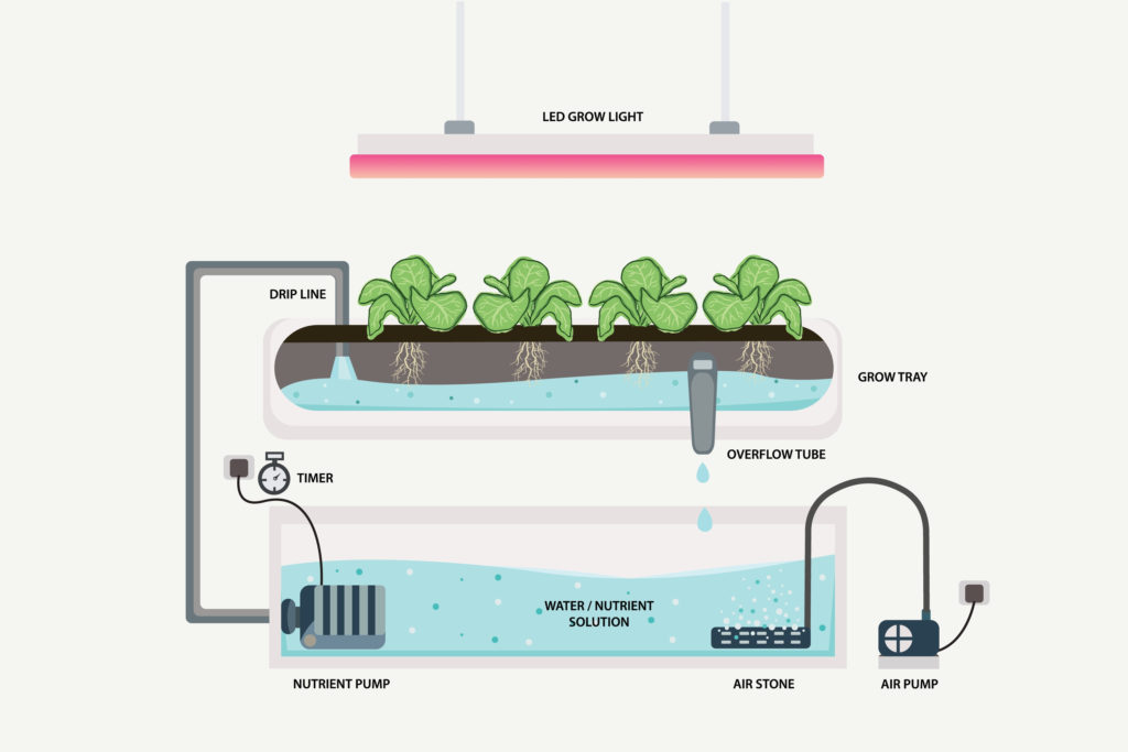 hydroponics diagram