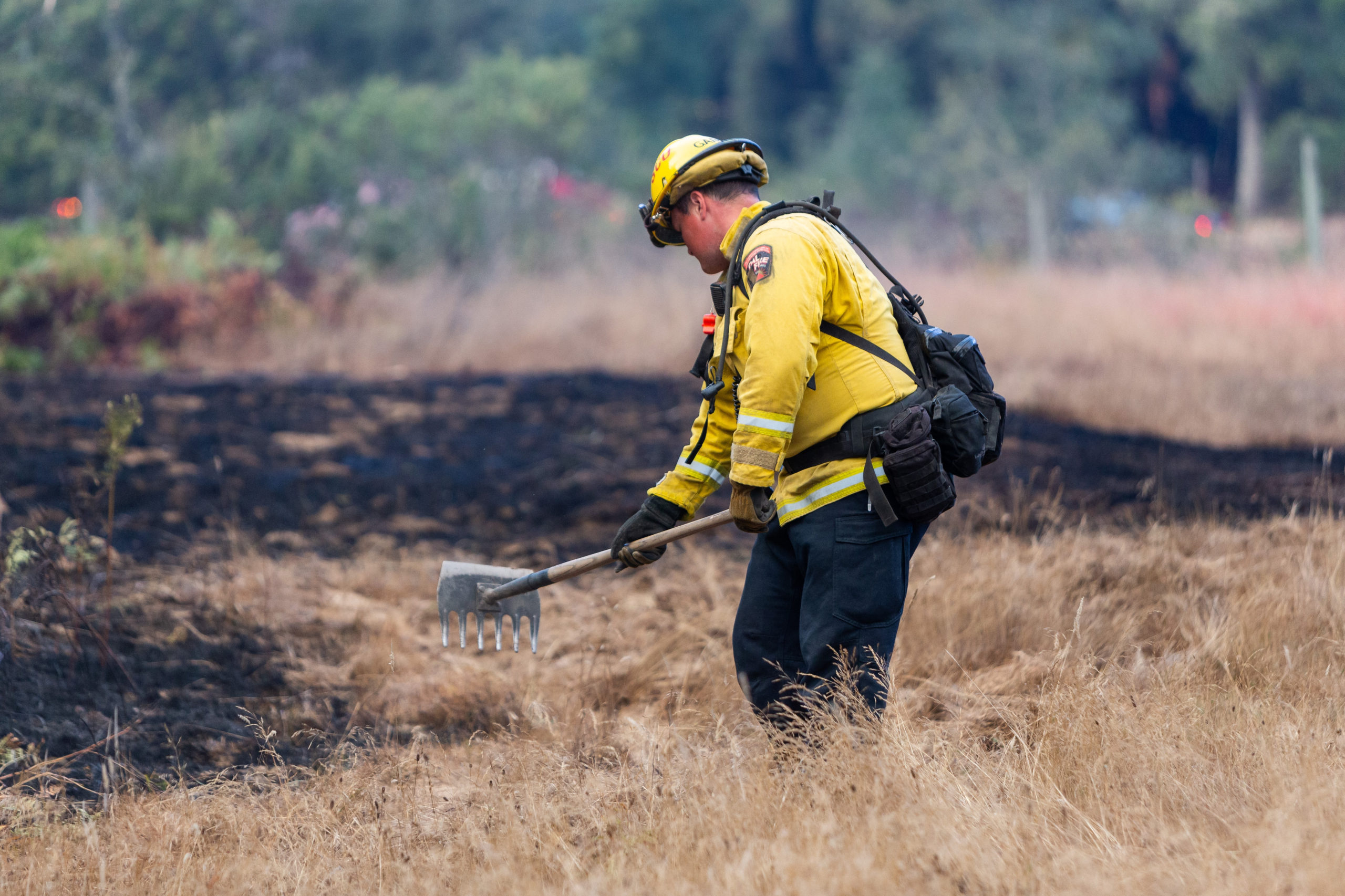 wildfire mitigation